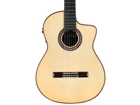 Toda Solida | SPRUCE+ROSEWOOD|Fishman PreFix ProBlend - Image 10