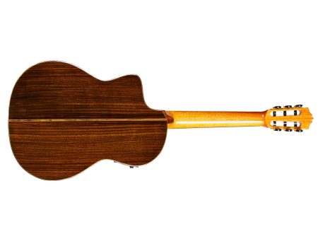 Toda Solida | SPRUCE+ROSEWOOD|Fishman PreFix ProBlend - Image 2