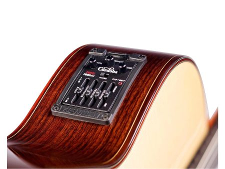 Toda Solida | SPRUCE+ROSEWOOD|Fishman PreFix ProBlend - Image 6