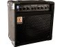 Eden multi-purpose Combo with 2 instrument inputs