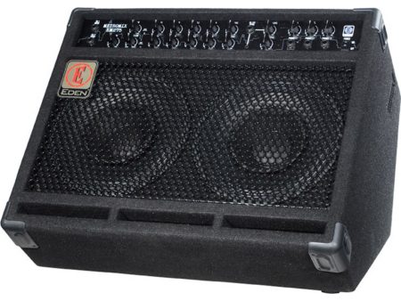 Eden multi-purpose Combo with 2 instrument inputs