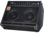 Eden multi-purpose Combo with 2 instrument inputs