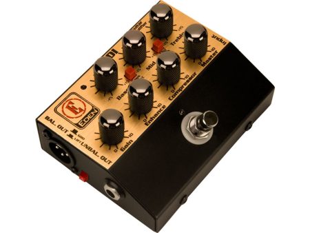 Eden World Tour in a DI Floor pedal
