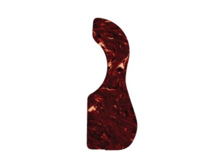 Pickguard Acustica Large / Shell