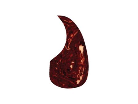 Pickguard Acustica/Clasica Small / Shell