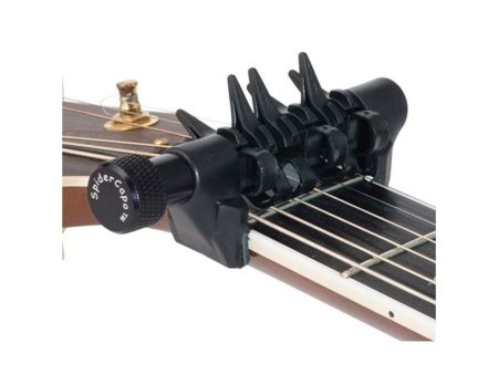 SpiderCapo Standard - Image 2