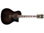 TapaSolida Abeto FishmanINK-4 12 Cuerdas ESTUCHE