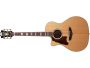 GrandAuditorium TapaSolida Spruce Fishman Pre c/Estuche