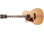 GrandAuditorium TapaSolida Fishman 12 Cuerdas c/Estuche