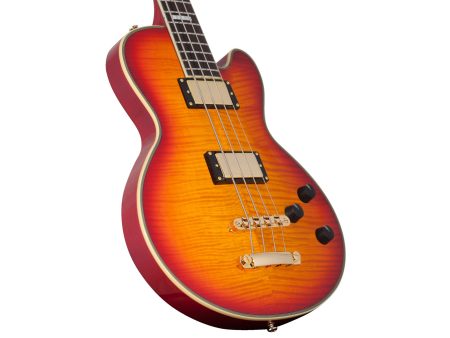 Cuerpo MACIZO Maple Flameado Acc.DORADOS c/ESTUCHE - Image 5