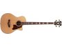 Bajo Acustico TapaSolida Fishman c/Estuche