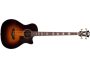 Bajo Acustico TapaSolida Fishman c/Estuche