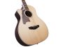 Tapa Solida Sitka Spruce Fishman Presys+ BASS