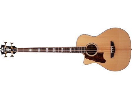 Bajo Acustico TapaSolida Fishman c/Estuche
