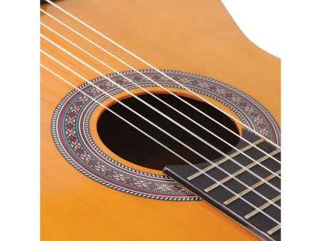 Guitarra CLASICA CRIOLLA 4/4 Nylon,Tapa ABETO - Image 5