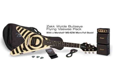 Zakk Pack, Marshall MS-4ZW. - Image 2