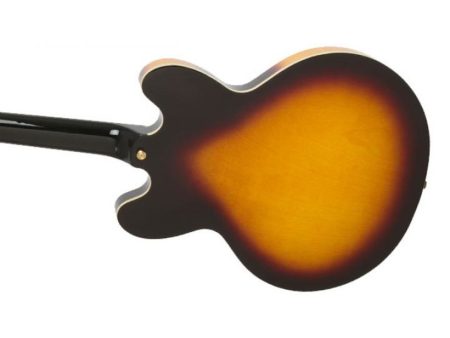 1/2 Caja Acc Dorados AlnicoClassic Mic Funda - Image 2
