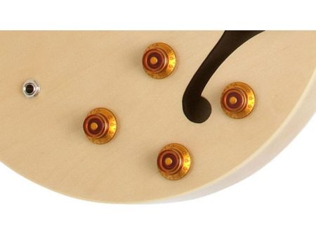 1/2 Caja Acc Crom Alnico Mic Funda - Image 3