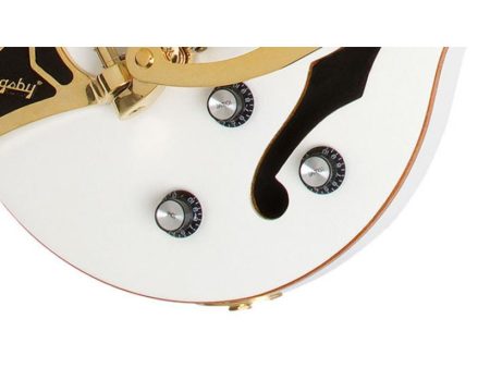 1/2 Caja Acc Dorados P90 Mic Bigsby Funda - Image 4