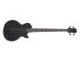 SPECIAL BASS