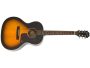 Electroacustica cuerpo pequeno sistema Fishman