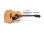 Electroacustica c/corte mic NanoFlex