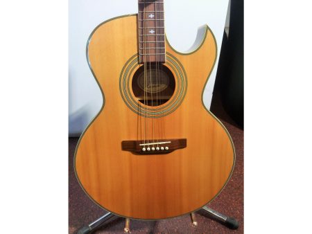 Electroacustica Acc. Dorados minijumbo c/eq - Image 6