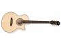 Electroacustica Flametop