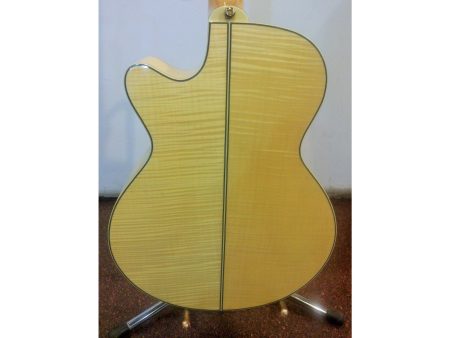 Electroacustica Flametop - Image 4