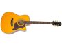 Electroacustica tapa solida pre Shadow MinETune