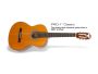 Guitarra Clasica cuerdas de nylon cejuela 2.0"
