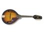 14.0",Solid Spruce top,Piezo Electrico