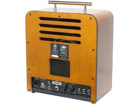Combo valvular 18watts 1x12" 230V - Image 5