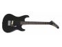 1 Humbucker, con Tremolo