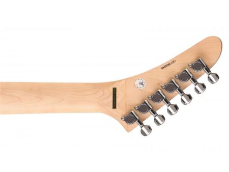 1 Humbucker, con Tremolo - Image 2
