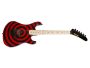 Floyd Rose, Mango y Cuerpo de Maple