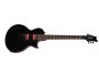 Floyd Rose