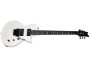 Floyd Rose