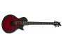 Floyd Rose, S.Duncan