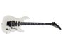 EMG pickups + Floyd Rose