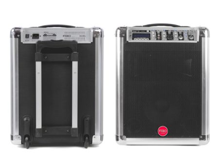 1x8" 2way,50W,DELAY/ECHO/REVERB, EQ x canal