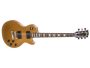 Carved maple,50sNeck,490R/498T black covers,Funda
