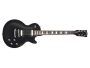 Zebra-coil 57 Classic,Steinberger gearless tuner