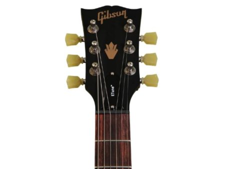 Mastil maple palorrosa  Mic Zebra 61 Funda - Image 8