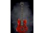 AA figured Maple, Palanca, 24Frets, Mango 60 slim