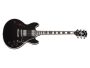 Semi-Hollow,Chambered F-holes C/est.