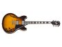 Semi-Hollow,Chambered F-holes C/est.