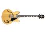 Semi-Hollow,Chambered F-holes C/est.