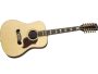 Songwriter Deluxe 12