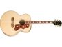 TapaSpruce Diap Palorrosa sist Fishman Acc Dor